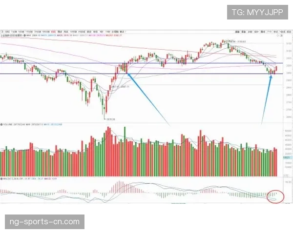 瑞安门线技术表现稳健，扑救成功率持续提升